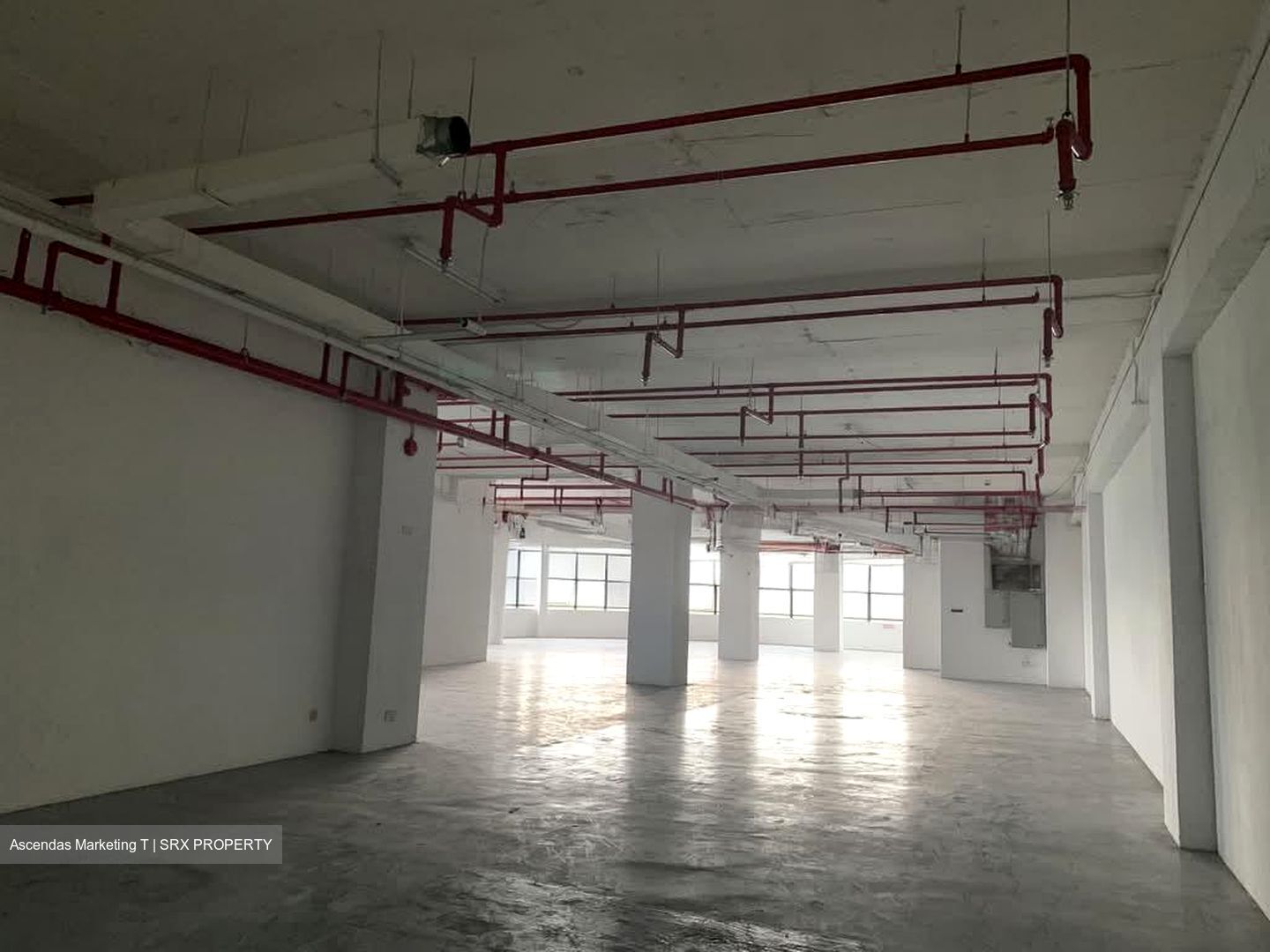 Toh Tuck Link (D21), Warehouse #540038891